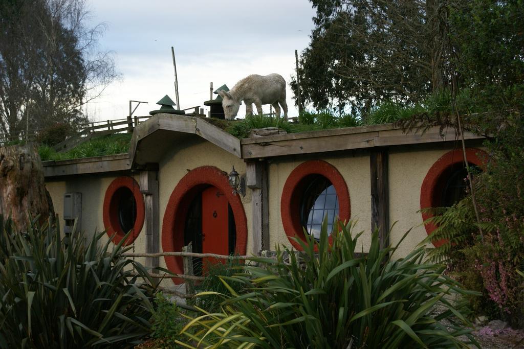 Woodlyn Park Motel Waitomo Caves Esterno foto